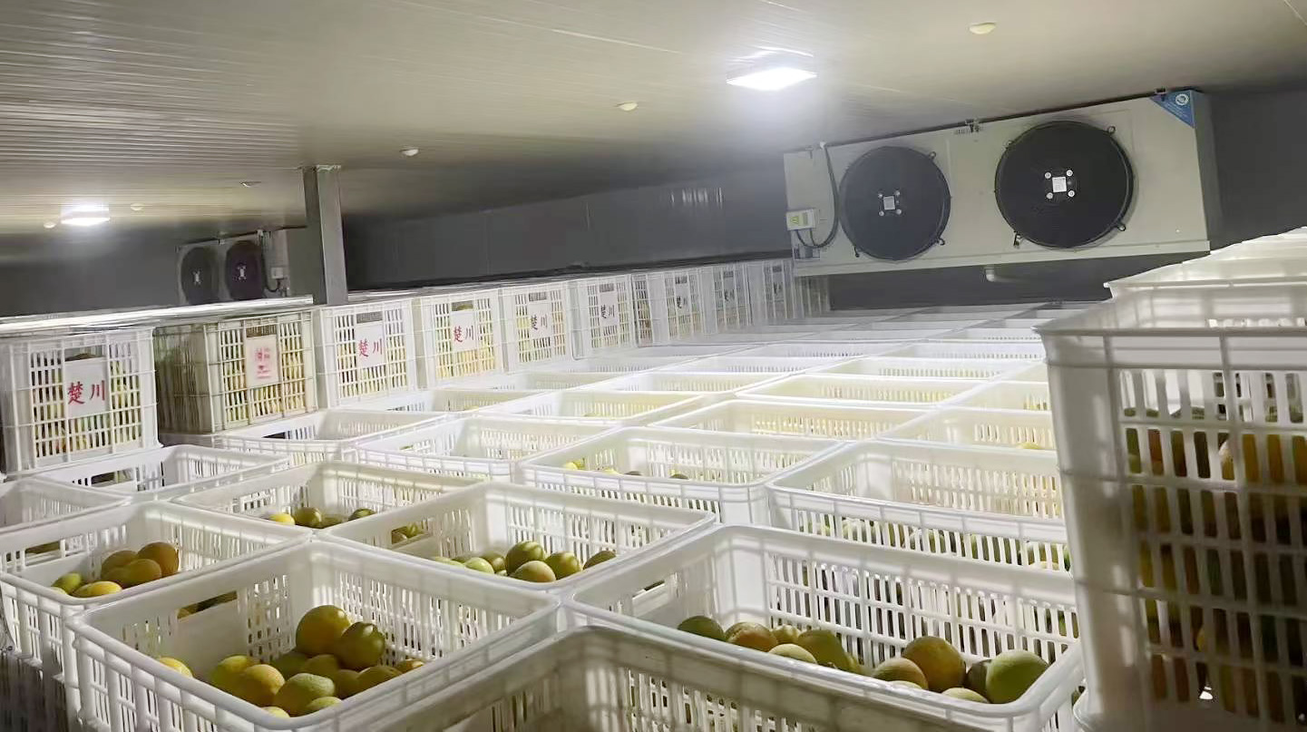 保鲜冷库