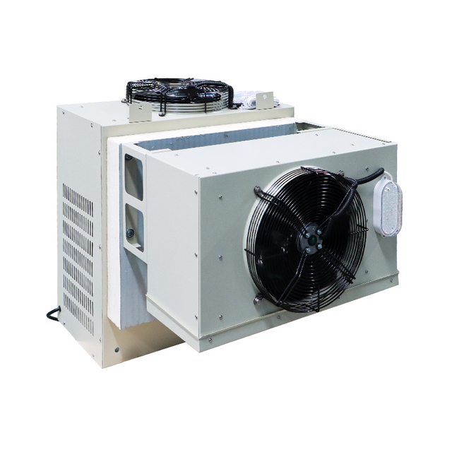 Wall- Mounted Monobloc Condensing Unit for Refrigeration/ Freezer/ Cooling Room 