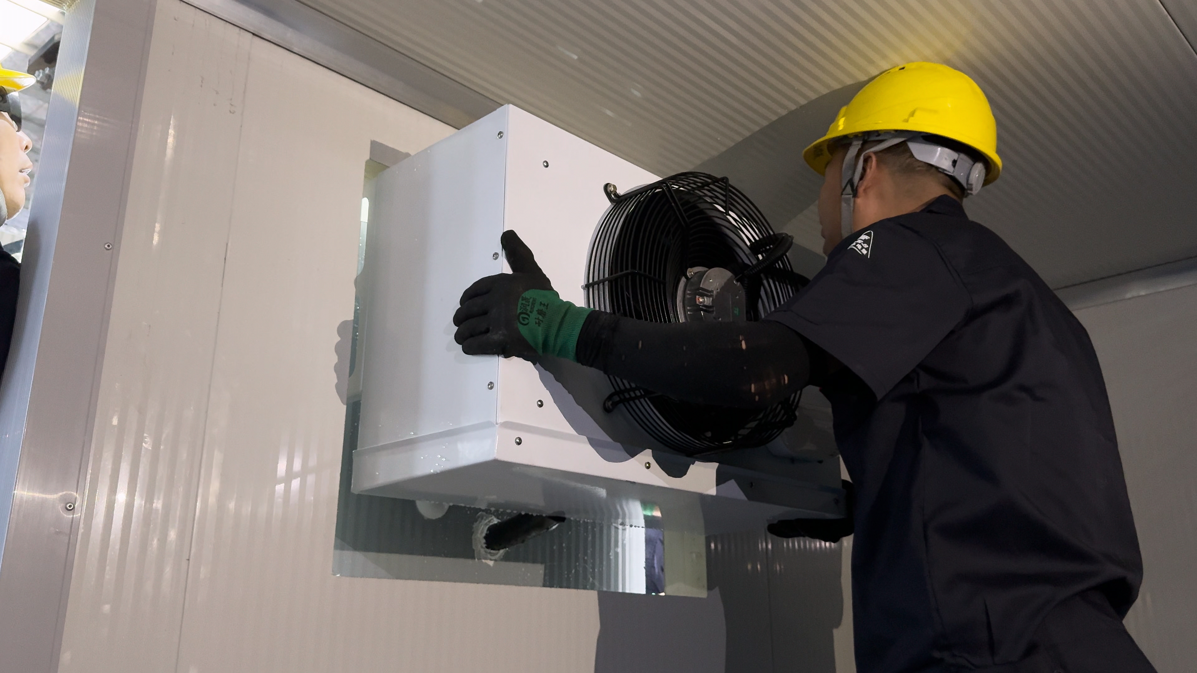 IMG_0635.MOV_20251205_145902.889