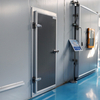 Heavy-Duty Hinged Cold Storage Doors for Industrial Freezers & Warehouses-1