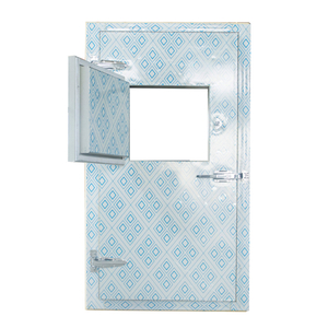 Heavy-Duty Hinged Cold Storage Doors for Industrial Freezers & Warehouses-1