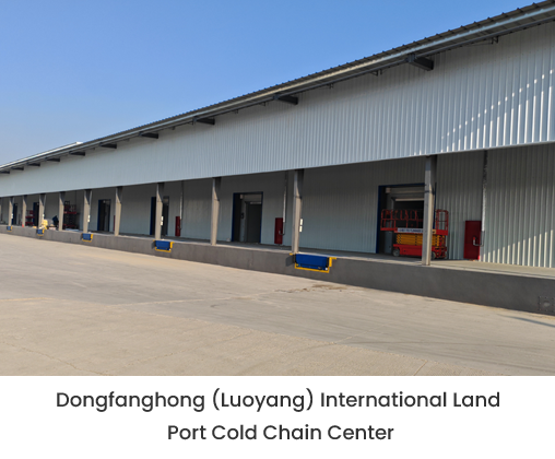 3-Dongfanghong-(Luoyang)-International-Land-Port-Cold-Chain-Center