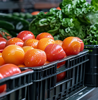 Design code for modified atmosphere cold storage for preservation of fruits and vegetables