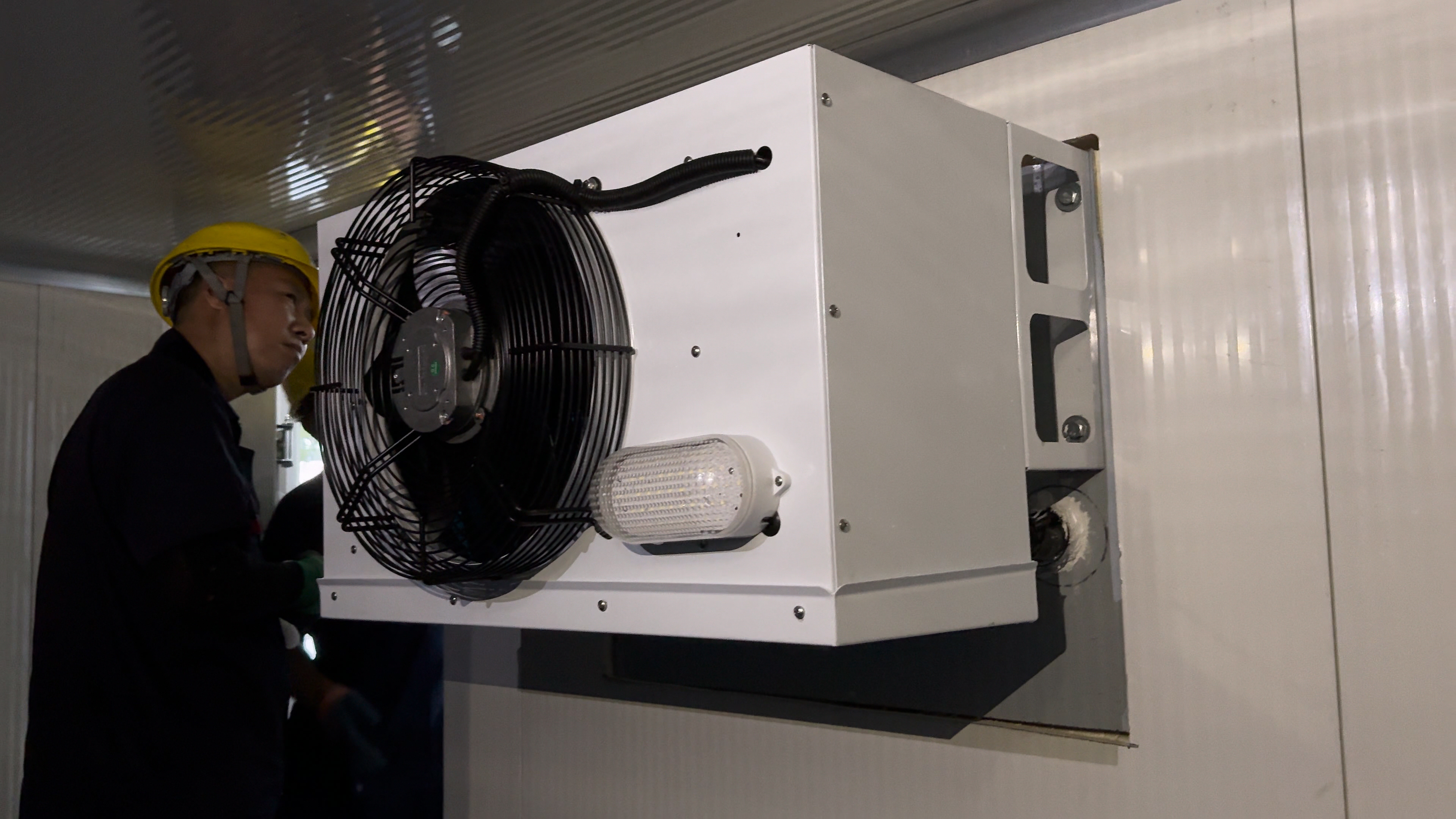 IMG_0639.MOV_20251205_145832.577