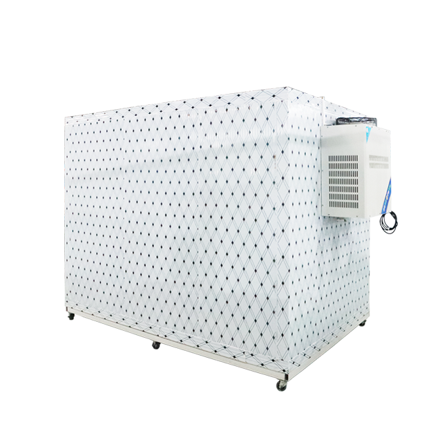 Deep Frozen Storage Room